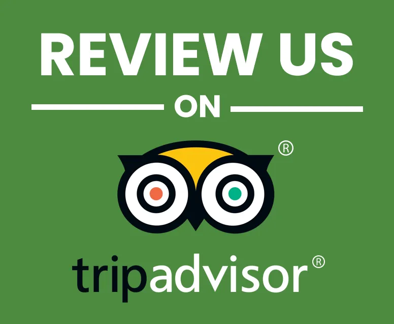 tripadvisor